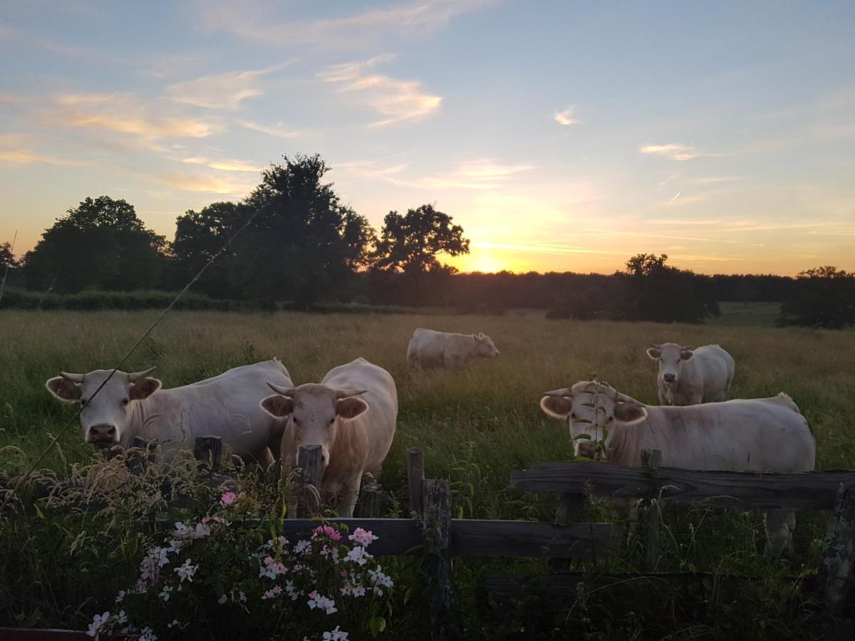 La Lisiere Du Morvan Magny-Lormes Exteriér fotografie