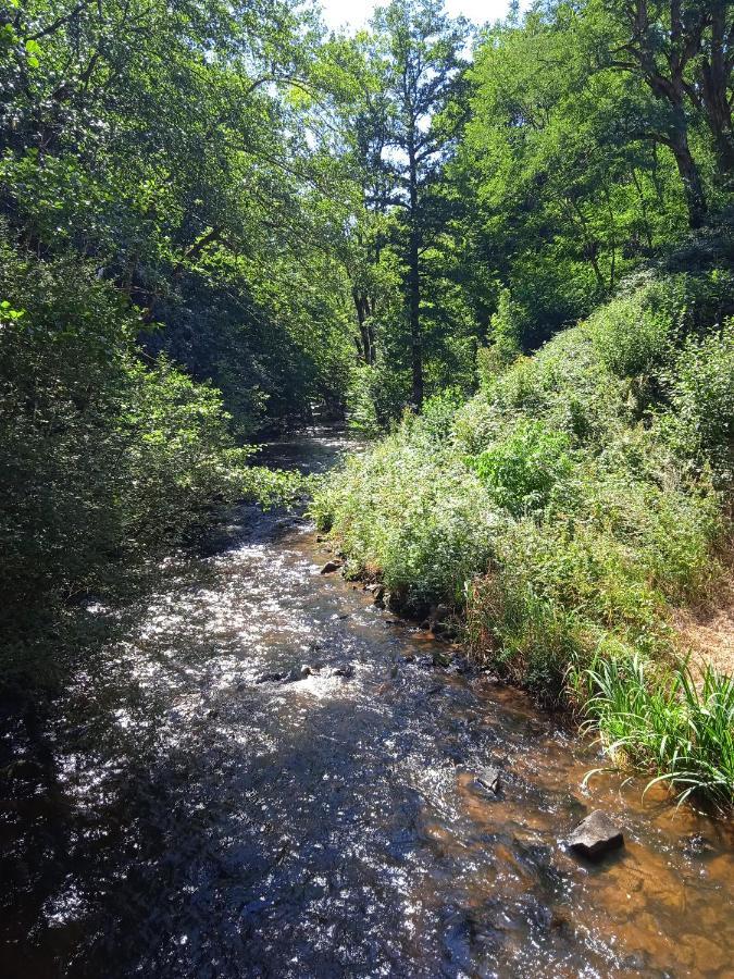 La Lisiere Du Morvan Magny-Lormes Exteriér fotografie